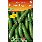 Ervilha de trepar 'Express de vagem grande'